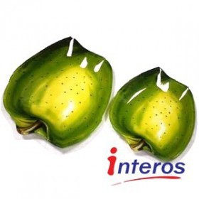 2-tlg Set " Grüne Apfel" von INTEROS