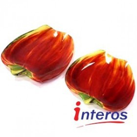 2-tlg Set  "Apfel Scarlet" vion INTEROS